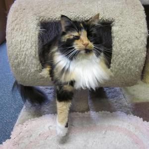 Meet your Posher, Robert